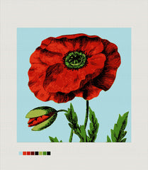 English Poppy, Needlepoint Cushion, Pillow