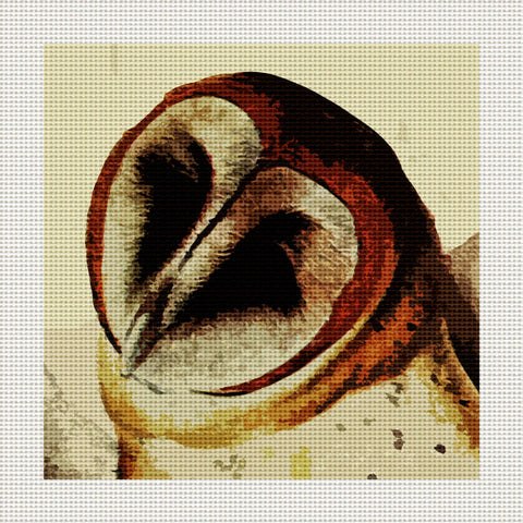 Barn Owls, 5 x 5" Miniature