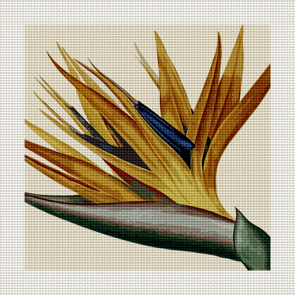 Bird of Paradise, 5 x 5" Miniature