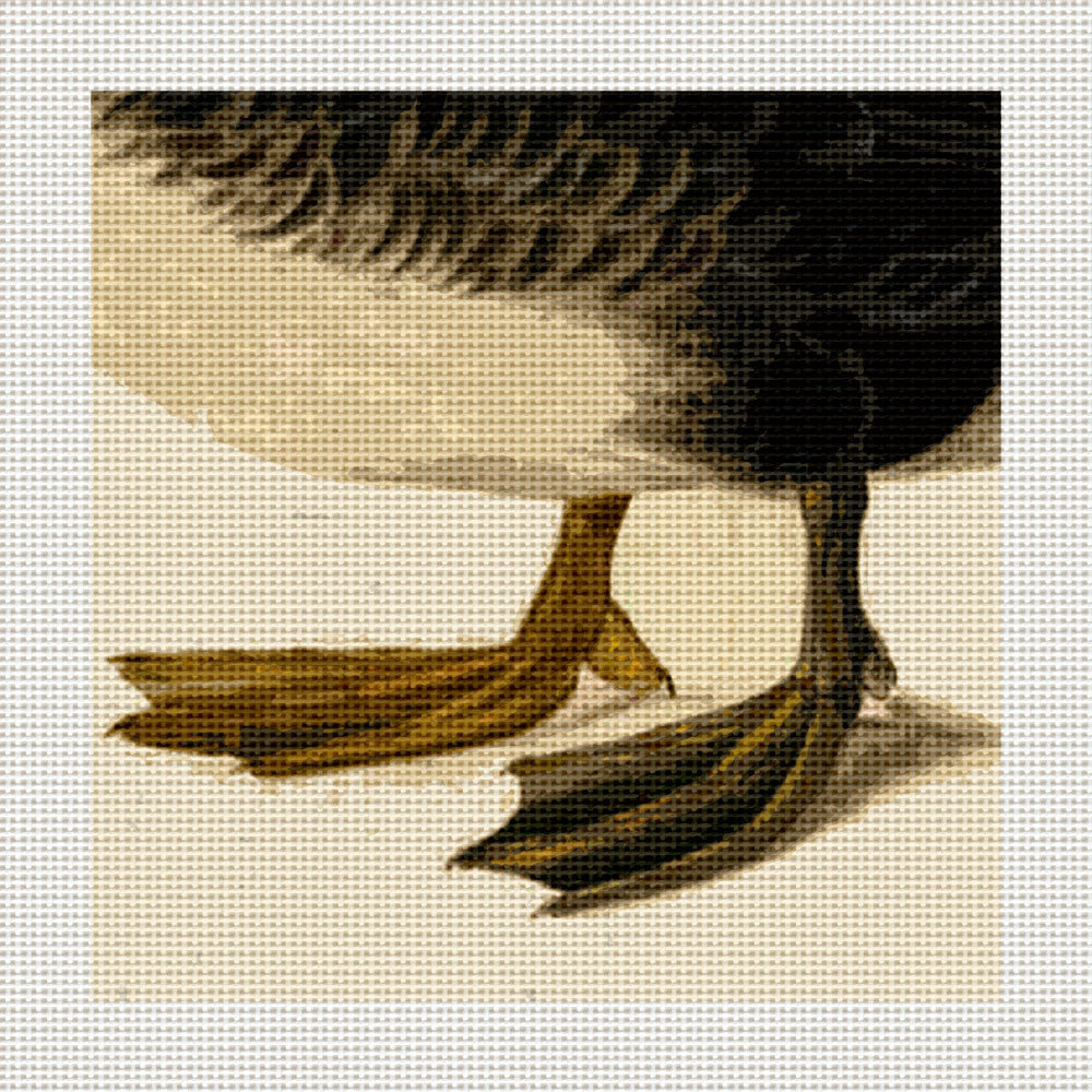 Redhead Duck Feet, 5 x 5" Miniature