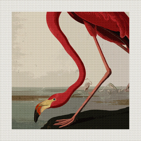 Flamingo, 5 x 5" Miniature