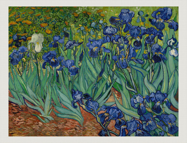 Irises, Vincent van Gogh