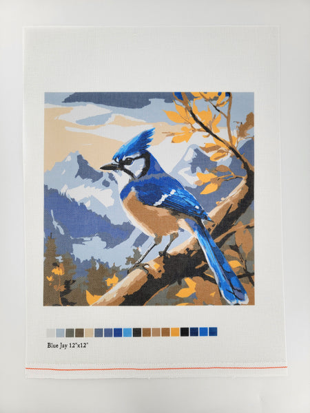 Blue Jay, Canvas