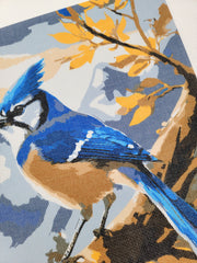 Blue Jay, Canvas