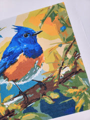 Bluebird, Canvas