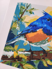 Bluebird, Canvas