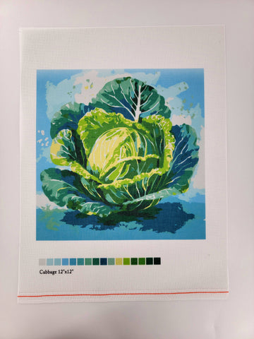 Cabbage, Canvas