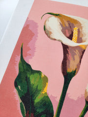 Calla Lilies, Canvas