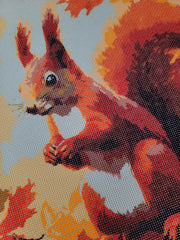 Red Squirrel, Canvas