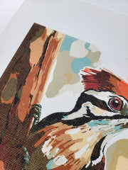 Woodpecker, Canvas