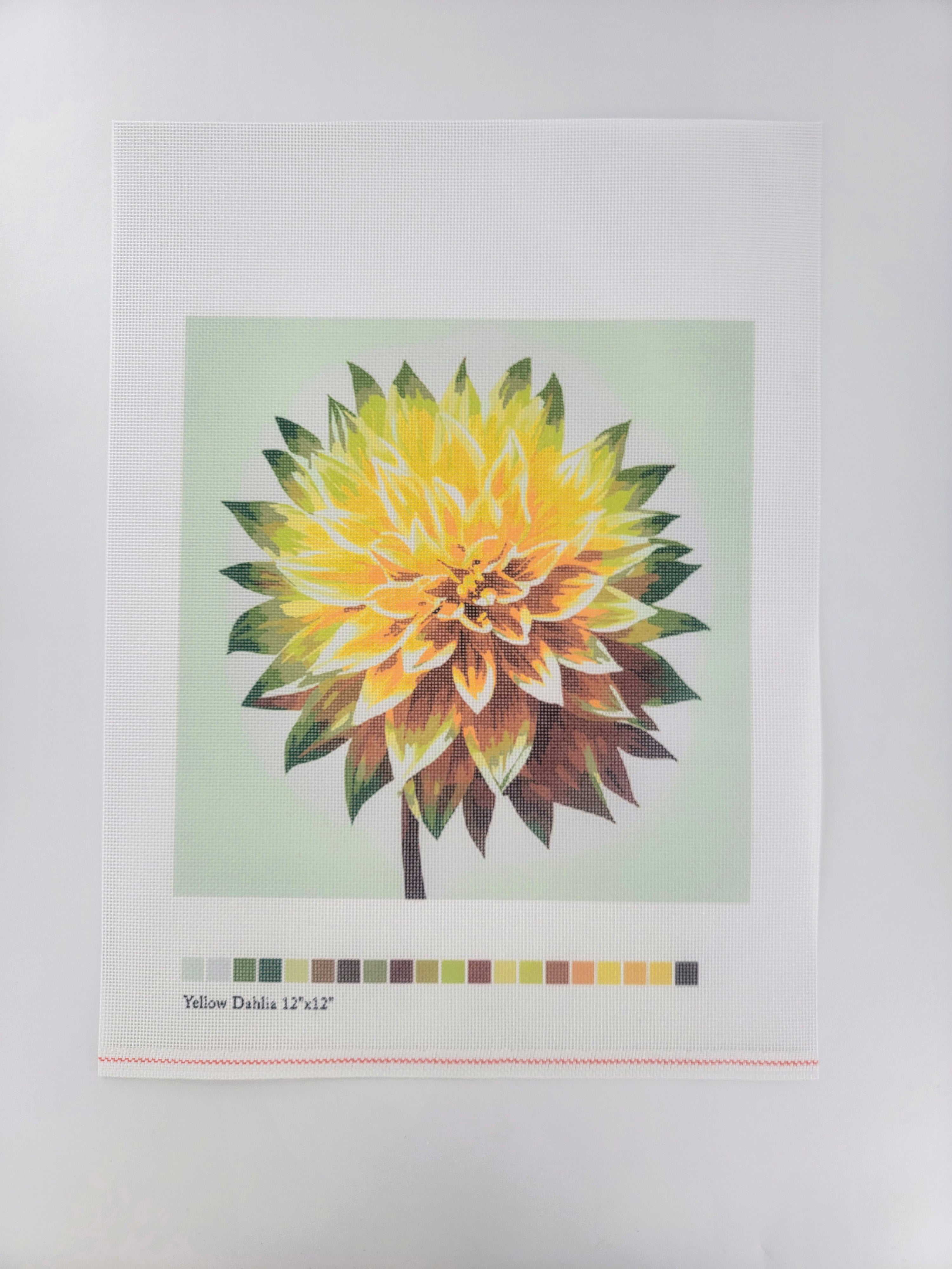 Yellow Dahlia, Canvas