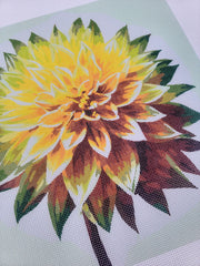 Yellow Dahlia, Canvas