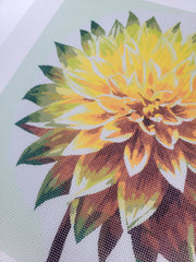 Yellow Dahlia, Canvas