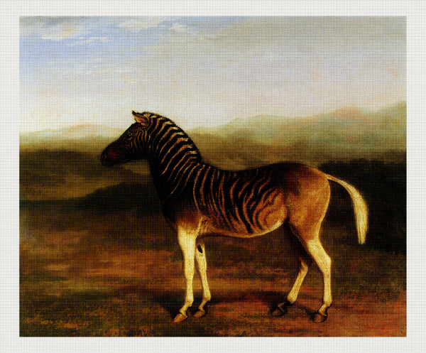 A Male Quagga From Africa, Jacques-Laurent Agasse