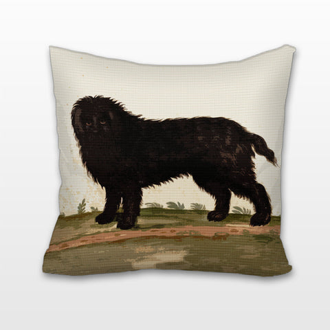 Barbet Dog, Cushion, Pillow