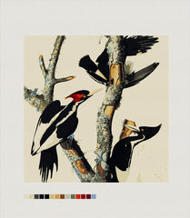 Ivory Billed Woodpeckers, Needlepoint Cushion, Pillow