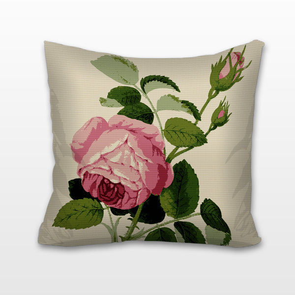 Pink Rosa Centifolia, Needlepoint Cushion, Pillow