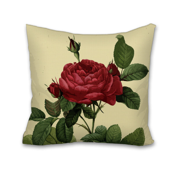 Rosa Gallica Pontianak, Cushion, Pillow