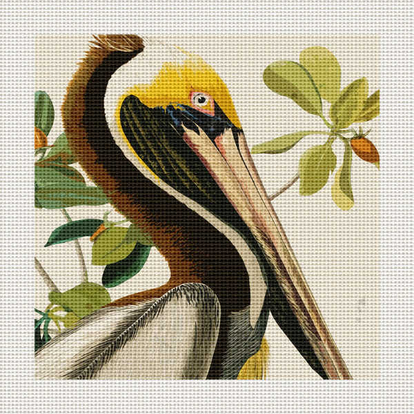 Pelican, 5 x 5" Miniature