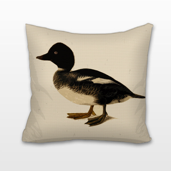 Redhead Duck, Cushion, Pillow