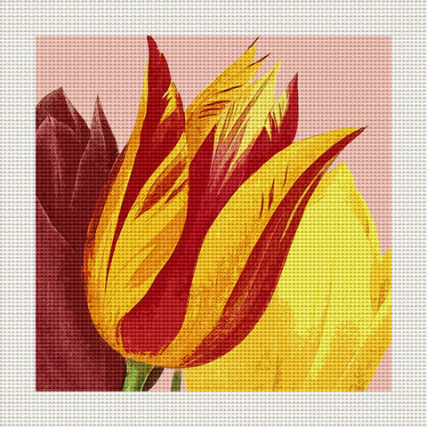 Red & Yellow Tulip, 5 x 5" Miniature